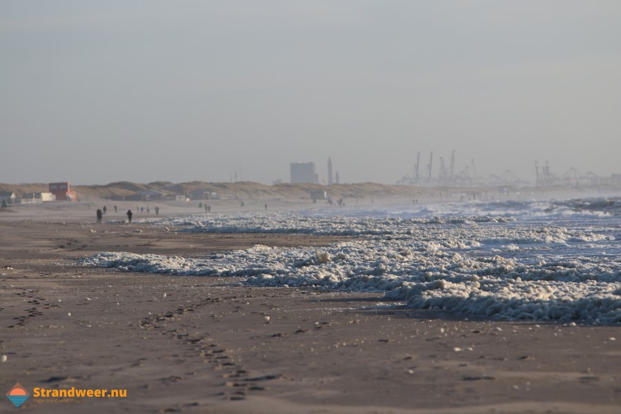 PFAS in zeeschuim langs Nederlandse kust 