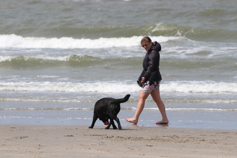 Hondenverbod op deel van Vlissingse strand